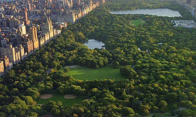 central-park-m.jpg
