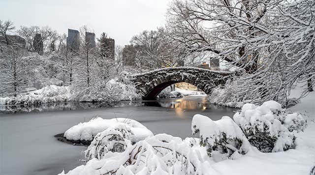 O que fazer em um dia de chuva em Nova York? - Civitatis