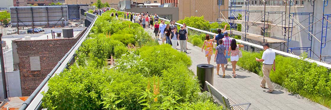 High Line Elevated Park - O parque suspenso de Nova York