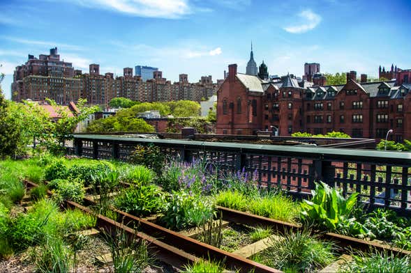 Tour pelo High Line